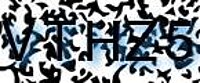 grafischer Sicherheitscode