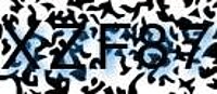 grafischer Sicherheitscode